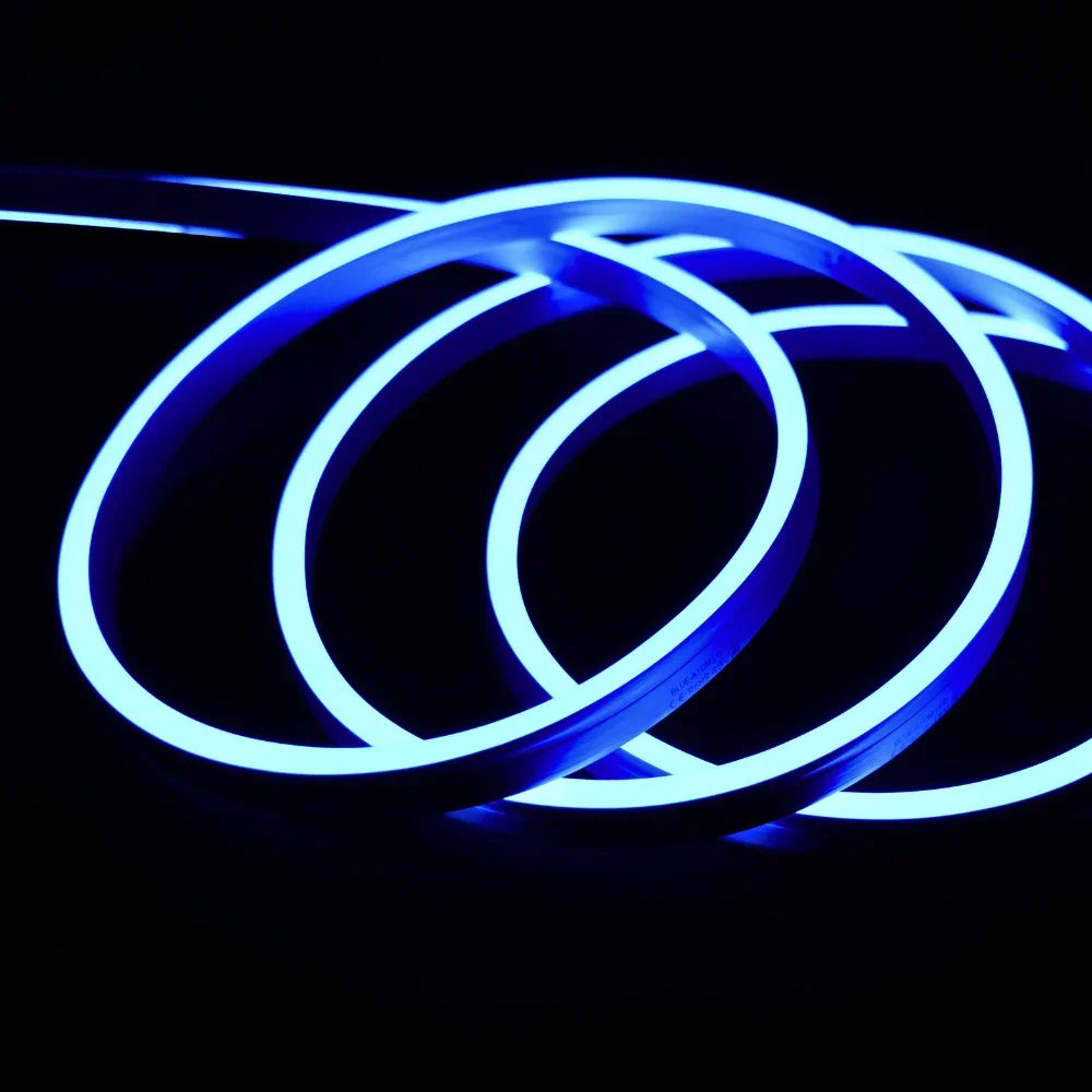 Extra Long Blue Neon Flex 48V 10x20mm IP68 Waterproof 30m