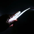 COB LED Strip Cool White 6000K 24V 352 LEDs/m IP20 5 Metre