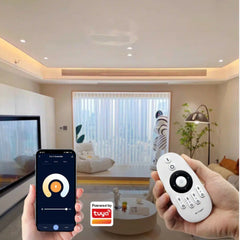 MiBoxer E2-WR 2 In 1 WiFi Smart Strip LED Strip Dimmers Controller