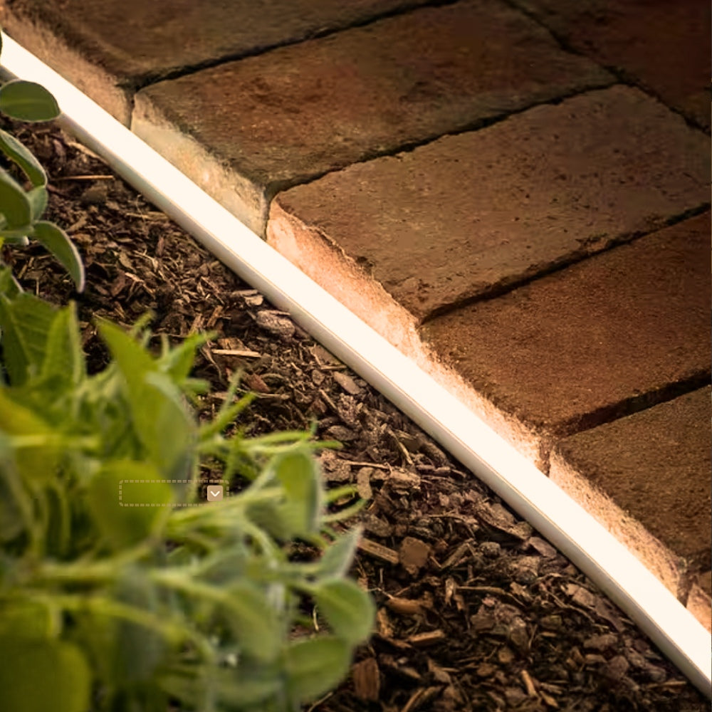 Garden Lights