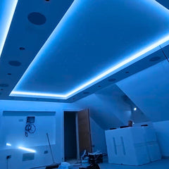 RGB LED Neon Flex 220V 240V 10x18mm IP65 Dimmable with Remote Kit
