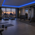 Illustrative ATOM LED blue 8×16mm neon flex installed in gym ceiling coving
