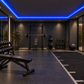 Illustrative blue 8×16mm IP65 neon flex installed in dry indoor ceiling coving
