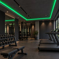 Illustrative green 8×16mm IP65 neon flex installed in dry indoor ceiling coving