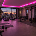 Illustrative ATOM LED pink 8×16mm neon flex installed in gym ceiling coving