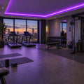 Illustrative ATOM LED purple 8×16mm neon flex installed in gym ceiling coving