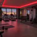 Illustrative ATOM LED red 8×16mm neon flex installed in gym ceiling coving