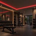Illustrative red 8×16mm IP65 neon flex installed in dry indoor ceiling coving