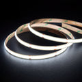 Lit 5000K 10mm COB LED strip coil, crisp cool white dot-free band