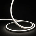 4000K horizontal-bend neon flex raised strand and loops on dark charcoal with soft surface illumination; colour-adjusted product photograph