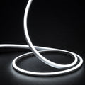 6000K horizontal-bend neon flex raised strand and loops on dark charcoal with soft surface illumination; colour-adjusted product photograph