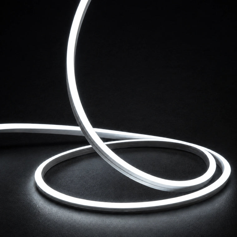 6000K horizontal-bend neon flex raised strand and loops on dark charcoal with soft surface illumination; colour-adjusted product photograph