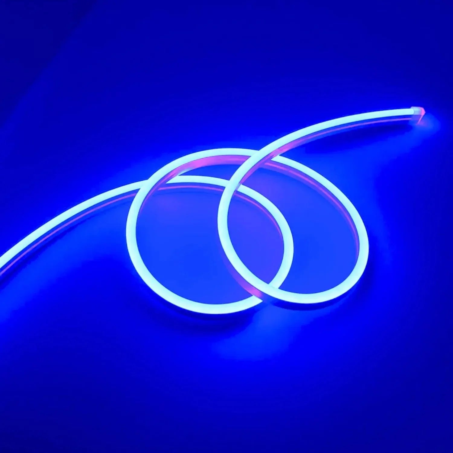 Blue Rectangular Led Blue LED Neon Flex DC 12V IP65 Waterproof 8x16mm 120 LEDs/M | ATOM LED