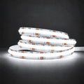 48V 10mm tunable CCT COB LED strip 5000K colour illustration