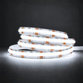 48V 10mm tunable CCT COB LED strip 6500K colour illustration