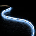 Cool white 6000K COB LED strip 24V 8mm 20m run dotless line