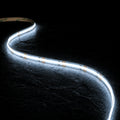 Daylight 5000K COB LED strip 24V 10mm 20m run dotless line