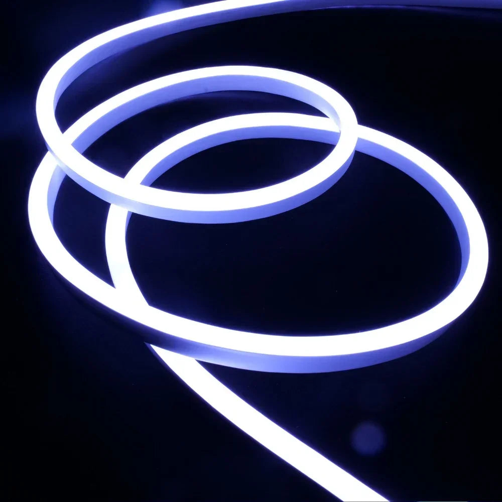 RGB LED Neon Flex 220V 240V 14x25mm IP65 Dimmable with Remote
