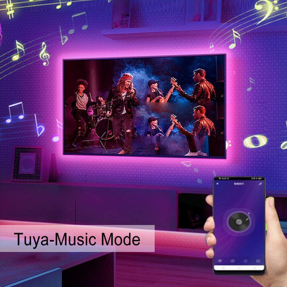 RGB LED Strip 220V 240V 60LEDs/m WIFI Controller with Remote Works with Google Home & Alexa - ATOM LED
