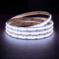 Cool White 6500K Special COB LED strip, 24V, 10mm wide, illuminated reel