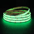 Green Special COB LED strip, 24V, 10mm wide, illuminated reel