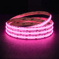 Pink Special COB LED strip, 24V, 10mm wide, illuminated reel
