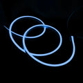 Ultra Long RGB Neon Flex 48V 10x20mm IP67 Waterproof 30 Metre