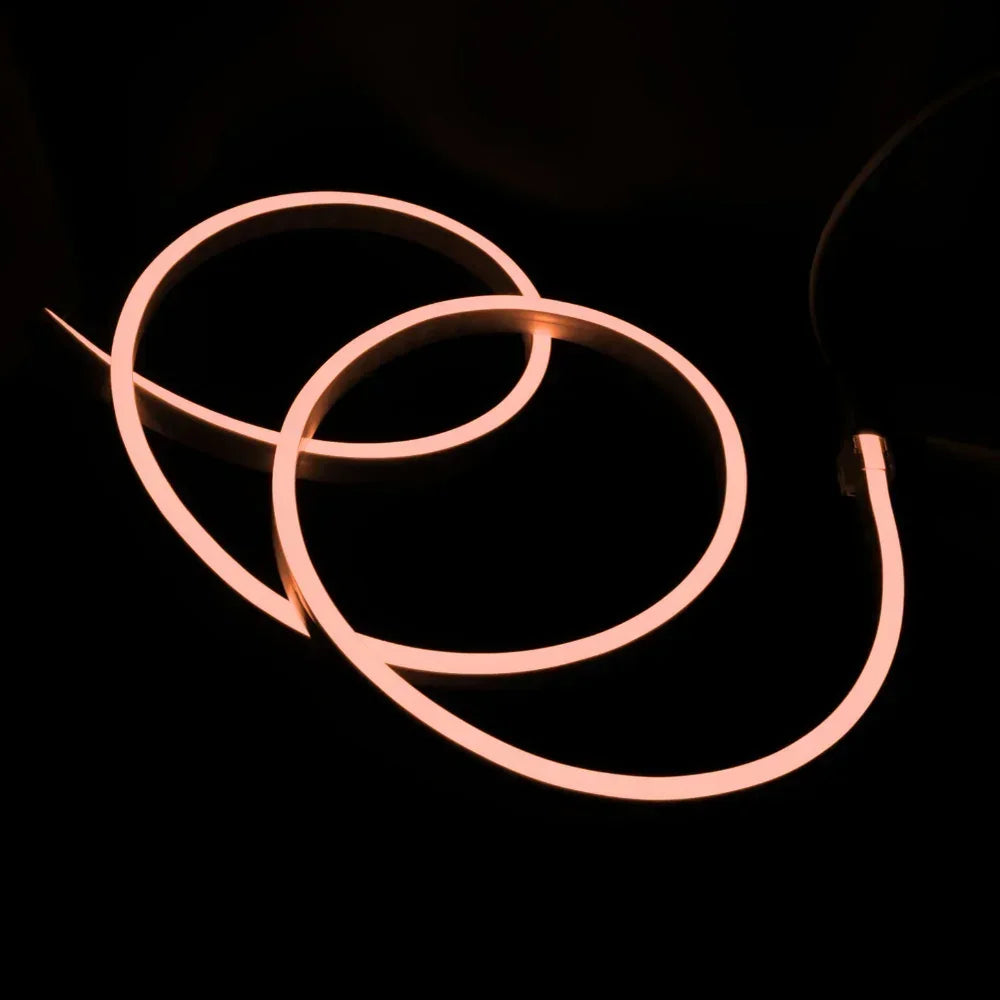 RGB Neon Flex 10x20mm 24V 10x20mm IP68 Waterproof 20 Metre