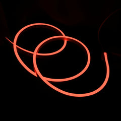 Ultra Long RGB Neon Flex 48V 10x20mm IP67 Waterproof 30 Metre