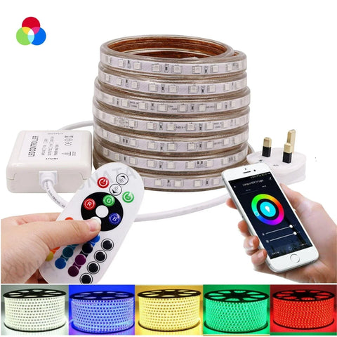 RGB LED Strip 220V 240V 60LEDs/m IP65 Bluetooth App Control & Remote ...