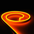Golden LED Neon Flex 8x16mm 120LEDs/m AC 220 240V IP67 Waterproof with UK Plug - ATOM LED