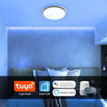 RGB LED Strip 220V 240V 60LEDs/m WiFi Tuya APP LED controller with 24key Remote - ATOM LED