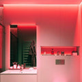 Red Neon Flex 12V 6x12mm 120LEDs/m IP65 Waterproof 2.5cm Cut Kit - ATOM LED