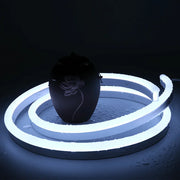Cool White Neon Flex DC 12V IP65 Waterproof 8x16mm 120 LEDs/M Full Kit - ATOM LED