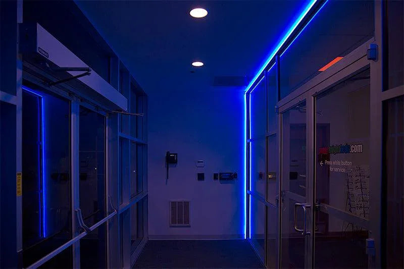 Blue LED Neon Flex 8x16mm 120LEDs/m AC 220 240V IP67 Waterproof with UK Plug - ATOM LED