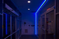 Blue LED Neon Flex AC 220V 240V 8x16mm 120LEDs/m IP65 Waterproof with UK Plug - ATOM LED