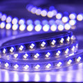 LED Strip Light 220V 240V 5730 Tricolour Warm White, Blue, Purple IP67 Waterproof 120LED/m - ATOM LED