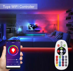 RGB LED Strip 220V 240V 60LEDs/m WiFi Tuya APP LED controller with 24key Remote - ATOM LED