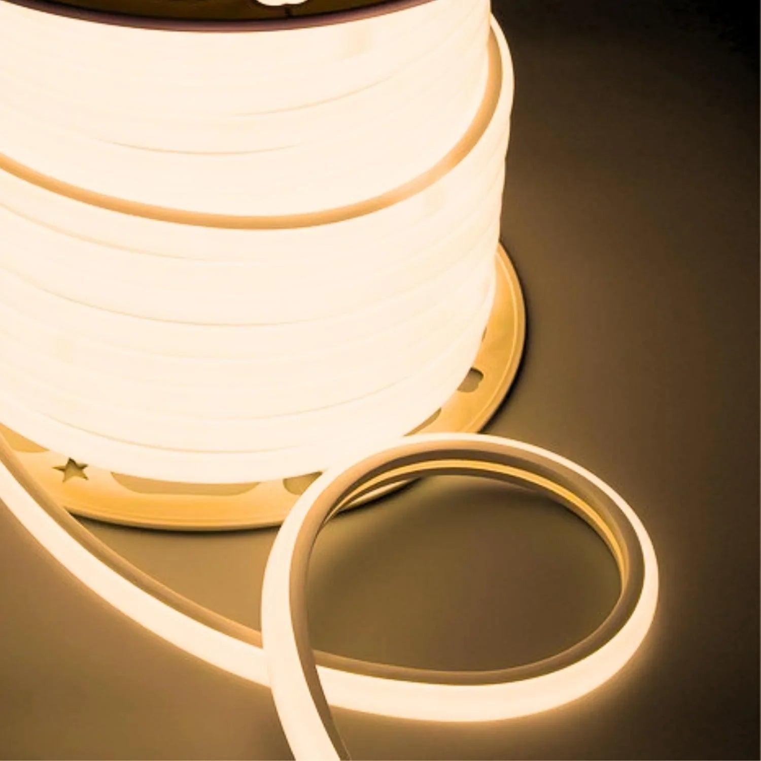Warm White LED Neon Flex 16x16mm D Shape Vertical Bending 120LEDs/m 220V 240V IP67 Waterproof with UK Plug - ATOM LED